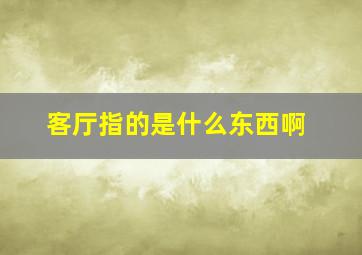 客厅指的是什么东西啊