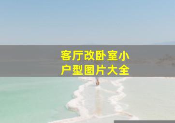 客厅改卧室小户型图片大全