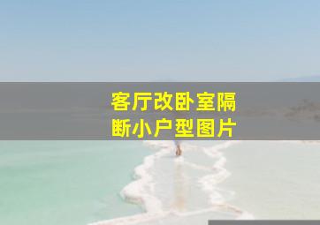 客厅改卧室隔断小户型图片