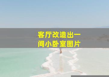 客厅改造出一间小卧室图片