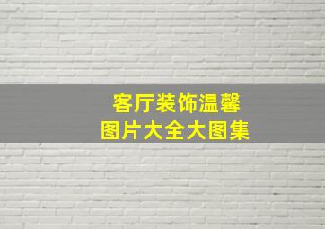 客厅装饰温馨图片大全大图集