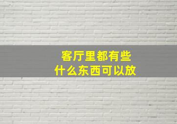 客厅里都有些什么东西可以放