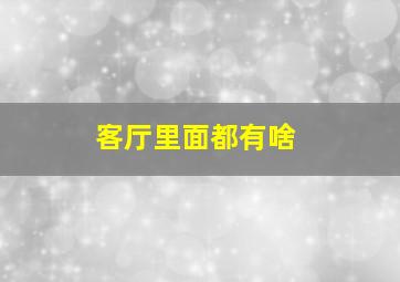 客厅里面都有啥