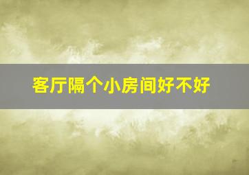 客厅隔个小房间好不好