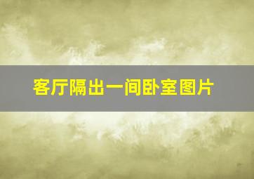 客厅隔出一间卧室图片