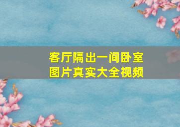 客厅隔出一间卧室图片真实大全视频