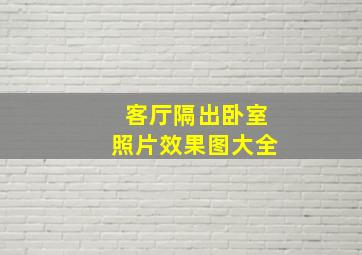 客厅隔出卧室照片效果图大全