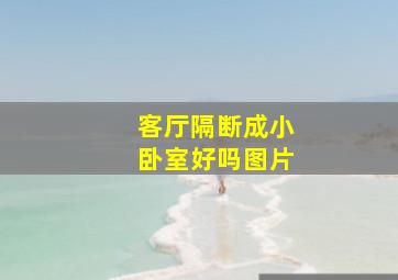 客厅隔断成小卧室好吗图片