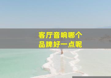 客厅音响哪个品牌好一点呢