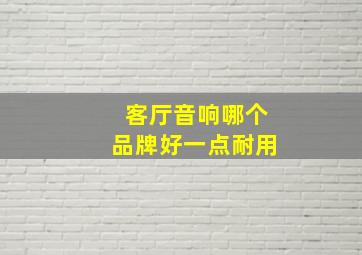 客厅音响哪个品牌好一点耐用