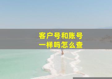 客户号和账号一样吗怎么查