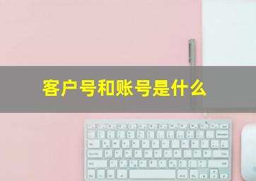 客户号和账号是什么