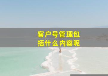 客户号管理包括什么内容呢