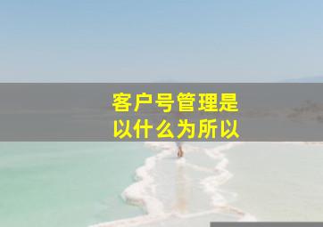 客户号管理是以什么为所以