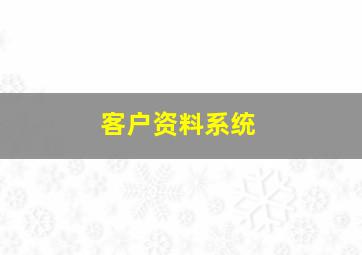 客户资料系统