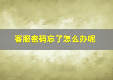 客服密码忘了怎么办呢