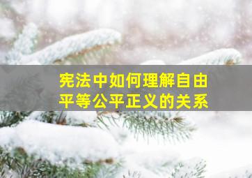 宪法中如何理解自由平等公平正义的关系