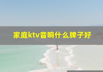 家庭ktv音响什么牌子好