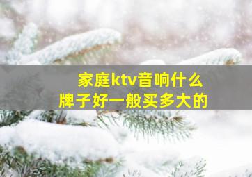 家庭ktv音响什么牌子好一般买多大的