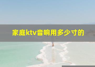 家庭ktv音响用多少寸的