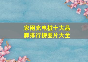 家用充电桩十大品牌排行榜图片大全