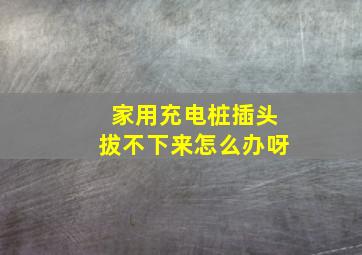 家用充电桩插头拔不下来怎么办呀