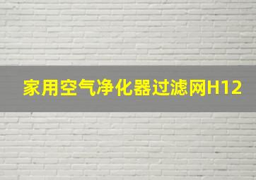 家用空气净化器过滤网H12