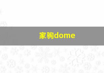 家驹dome