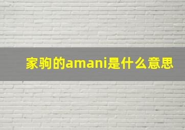 家驹的amani是什么意思