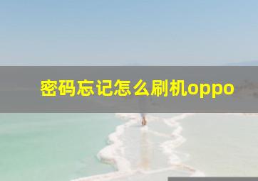 密码忘记怎么刷机oppo