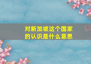 对新加坡这个国家的认识是什么意思