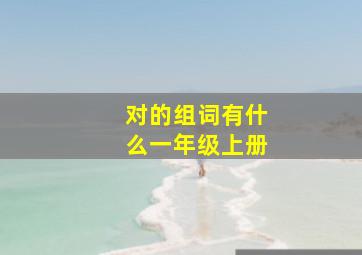 对的组词有什么一年级上册