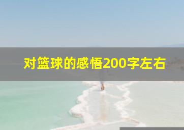 对篮球的感悟200字左右