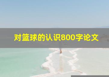 对篮球的认识800字论文