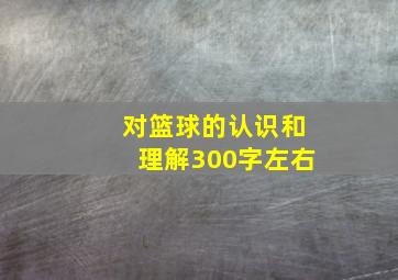 对篮球的认识和理解300字左右