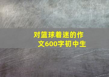 对篮球着迷的作文600字初中生