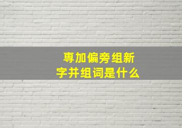 専加偏旁组新字并组词是什么