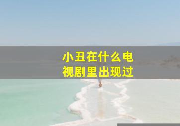 小丑在什么电视剧里出现过