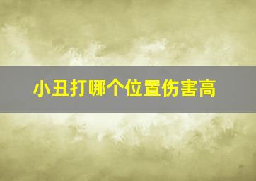 小丑打哪个位置伤害高