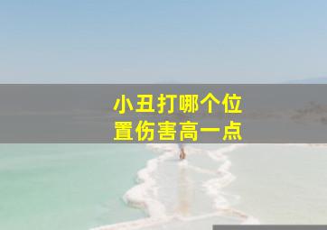 小丑打哪个位置伤害高一点