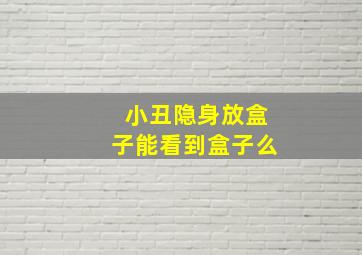 小丑隐身放盒子能看到盒子么