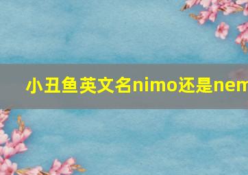 小丑鱼英文名nimo还是nemo