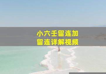 小六壬留连加留连详解视频