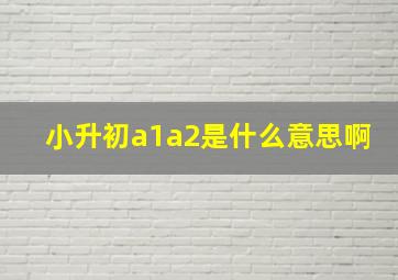 小升初a1a2是什么意思啊