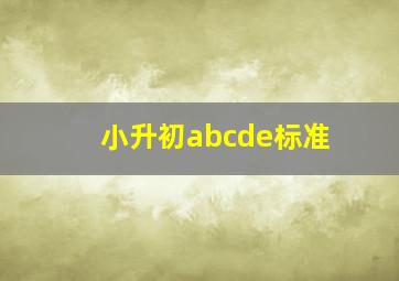 小升初abcde标准