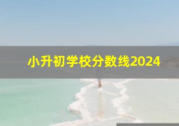 小升初学校分数线2024