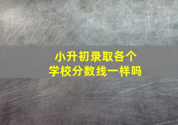 小升初录取各个学校分数线一样吗