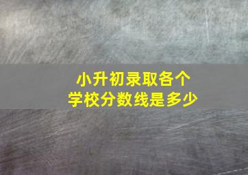 小升初录取各个学校分数线是多少