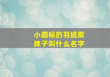 小圆标的羽绒服牌子叫什么名字