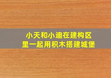 小天和小迪在建构区里一起用积木搭建城堡